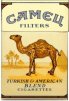 Camel