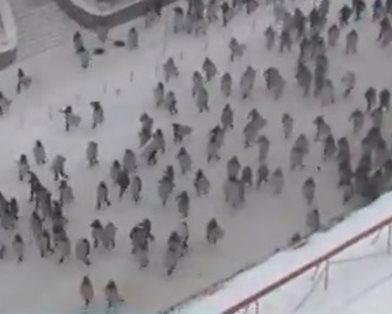 Бойня на улице Грушевского. ДОПОЛНЯЕТСЯ. Бойня на улице Грушевского. ДОПОЛНЯЕТСЯ.