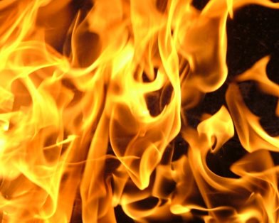 Бойня на улице Грушевского. ДОПОЛНЯЕТСЯ. Бойня на улице Грушевского. ДОПОЛНЯЕТСЯ.