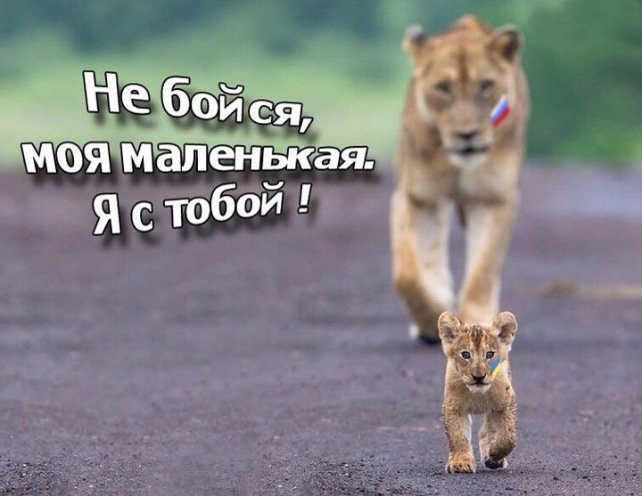 Просто фото