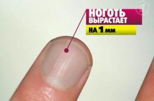 О «глазках на асфальте» и не только...