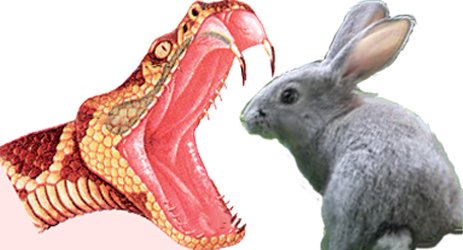 Анализ происходящего на Украине. Частное мнение