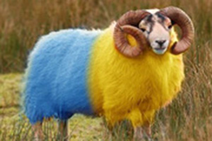 Антиукраинский евромайдан. Итоги