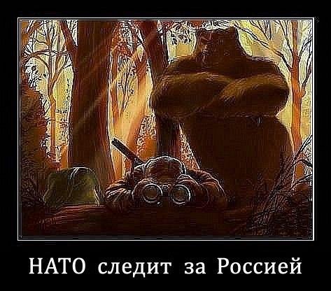 Картинки на тему Украины и событий вокруг неё Картинки на тему Украины и событий вокруг неё