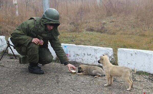 Вежливые люди Вежливые люди