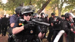 Как в демократических странах разгоняют митинги