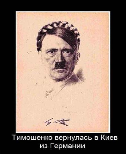 Рогозин назвал Тимошенко старой бледной поганкой