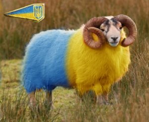 Чтобы навредить России, Украина готова разориться