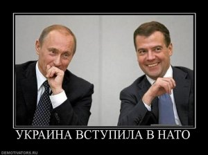 Министр иностранных дел Австрии высказался против приема Украины в НАТО