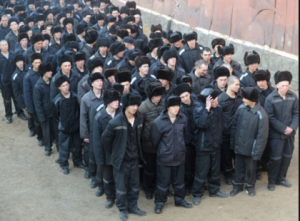 Понеслось....Нардепам предлагают объявить в Украине масштабную амнистию.