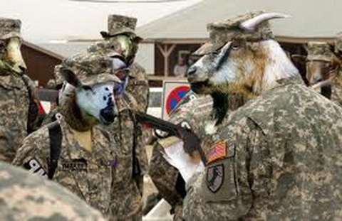 Союзная повестка: США спешно открывают против нас «молдавский» и «киргизский» фронты Союзная повестка: США спешно открывают против нас «молдавский» и «киргизский» фронты