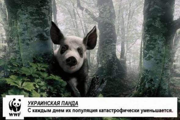 Энциклопедия УкроФейков. ДОПОЛНЕНО.