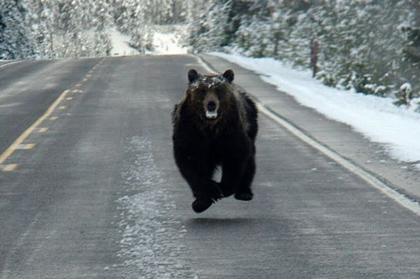 Начался процесс ликвидации однополярного мира Начался процесс ликвидации однополярного мира