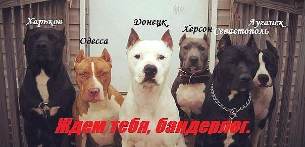 Затишье перед бурей (основано на событиях 9 апреля) Затишье перед бурей (основано на событиях 9 апреля)