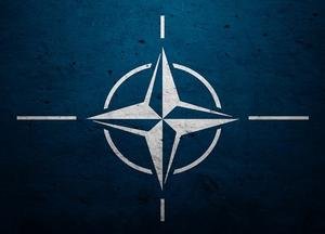 НАТО скорректировала оборонную политику из-за ситуации на Украине