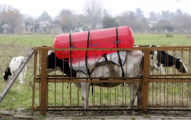 Укрнафтогазу на заметку. Как стать независимым от российского газа Укрнафтогазу на заметку. Как стать независимым от российского газа