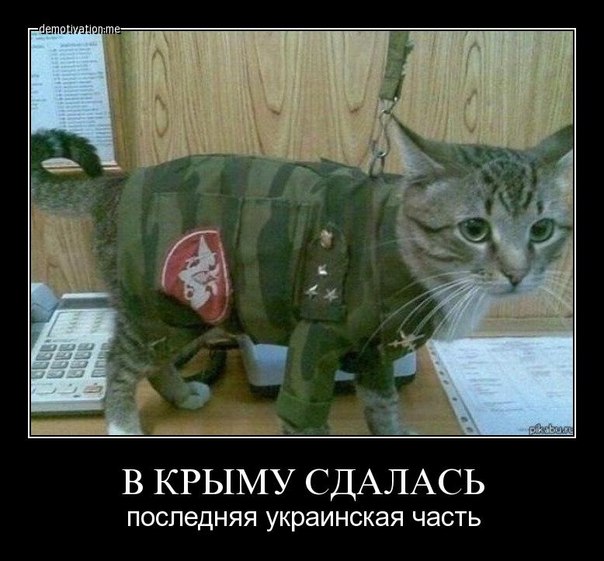 Демотиваторы Демотиваторы