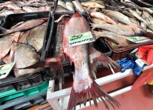 Из-за потери Крыма производство рыбы в Украине может сократиться на 2/3