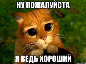 Яценюк хочет переговоров с Россией