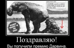 Кто мог справить нужду на голову хероя Ураины Степану Бандере.