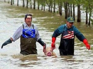 Украинское похмелье