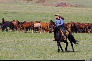 Вооружённое столкновение народа с федеральным правительством США