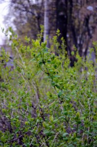 Фоторепортаж из Харькова (13.04.14)