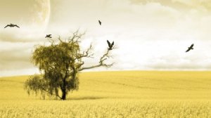 14 апреля развязка