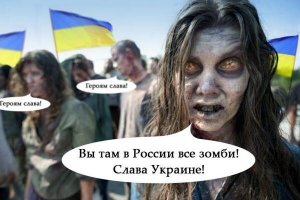 Мир бродячих сабак