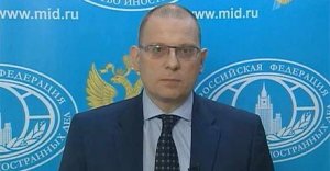 В МИД России после инцидента с Царевым поставили под сомнение возможность свободных выборов на Украине