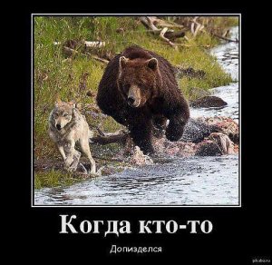 К сведению революционной Украины: о передовом и печальном опыте шоу-борьбы с Вежливым Медведем