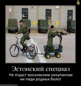 К сведению революционной Украины: о передовом и печальном опыте шоу-борьбы с Вежливым Медведем