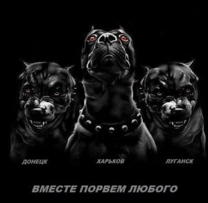 F.A.Q. по Украинскому кризису