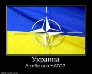 "Если нечто крякает как утка, плавает как утка и выглядит как утка, то это, вероятно, утка и есть"