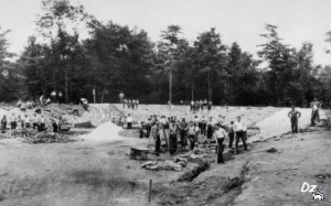 Голодомор по-американски