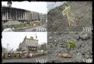 Украина разваливается на куски ,а на майдане взошел редис.