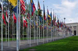 ООН потребовала от Киева отчета о борьбе с "обострившимися ксенофобскими тенденциями"