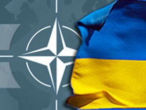 НАТО не собирается оказывать Украине прямую военную помощь,