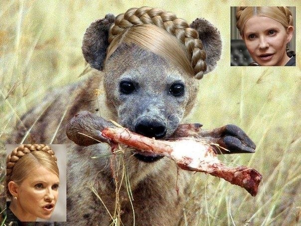 Тимошенко объявила сожжение людей в Одессе «защитой административных зданий» и что во всём виноват Путин и оккупанты! (ВИДЕО). Тимошенко объявила сожжение людей в Одессе «защитой административных зданий» и что во всём виноват Путин и оккупанты! (ВИДЕО).