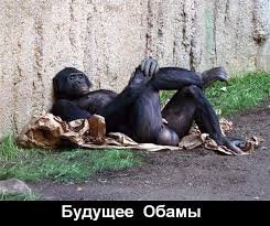 Обаму возбудил голый торс Путина