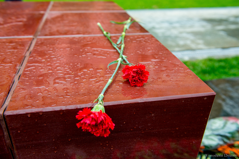 У стен Кремля прошел митинг в память погибших в Одессе У стен Кремля прошел митинг в память погибших в Одессе