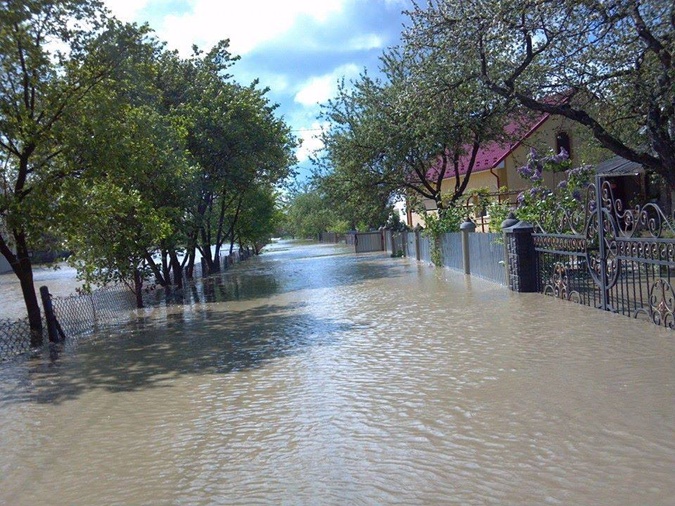 Бандерланд в катастрофе