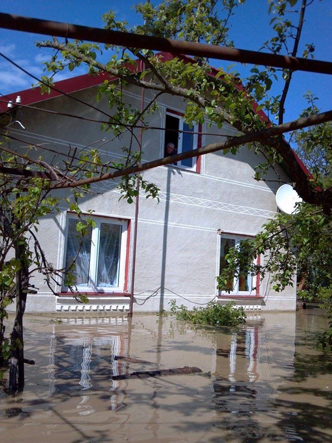 Бандерланд в катастрофе