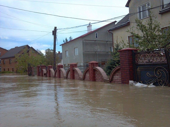 Бандерланд в катастрофе