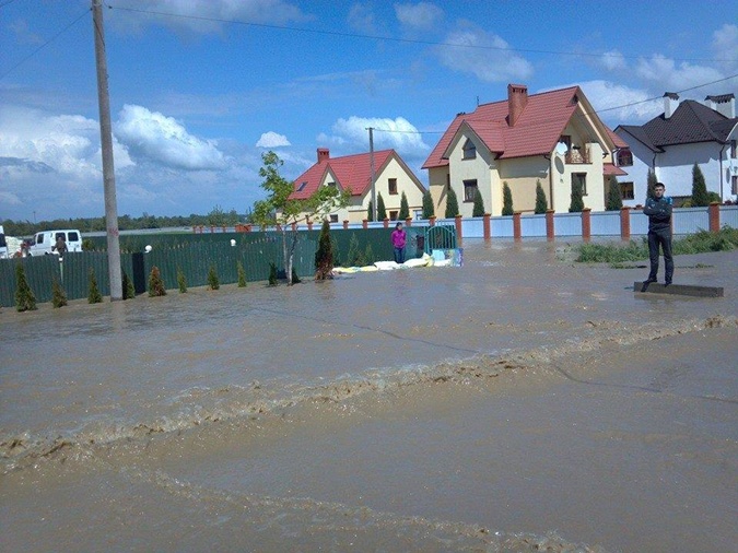 Бандерланд в катастрофе