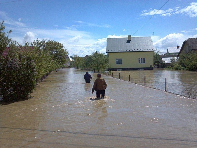 Бандерланд в катастрофе