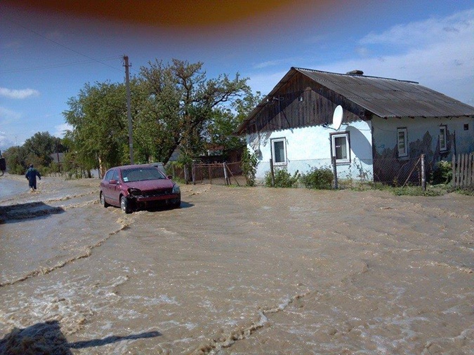 Бандерланд в катастрофе
