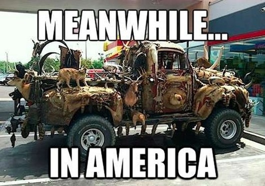 Тем временем в Америке…