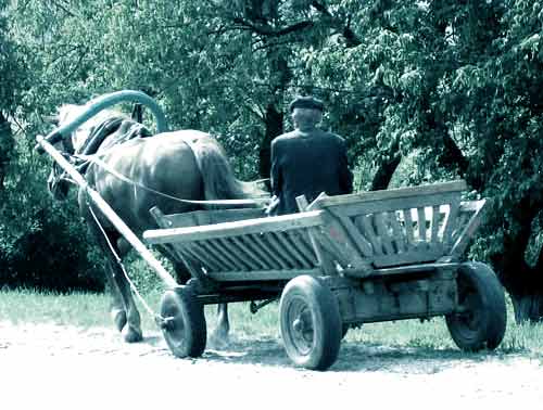 Украина утратила свой исторический смысл