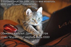 Перерыв на позитив с братьями нашими меньшими